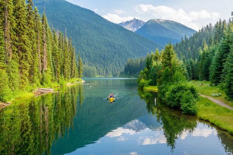 Sailing Across a Splendid Forest & Mountains View – British Columbia