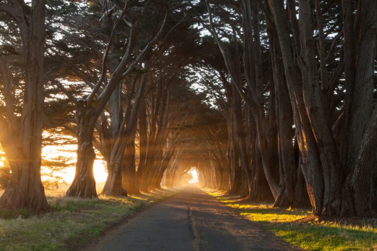 12 Picture-perfect Californian Destinations You Won’t Believe Are Actually Real