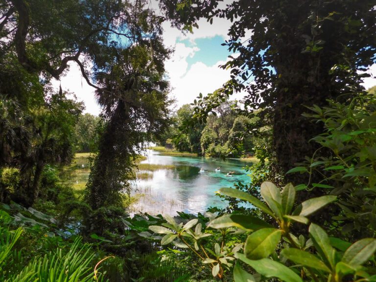6 Incredible Freshwater Springs in Florida You MUST Add to Your Bucket List
