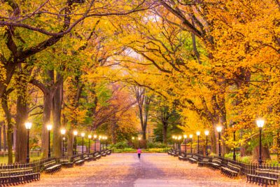 6 Incredible Autumn Travel Destinations to Explore Alone This Year